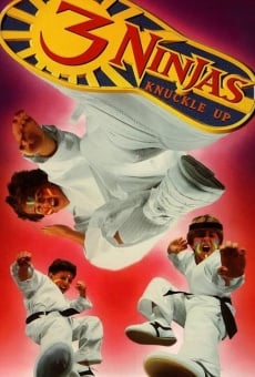 3 Ninjas Knuckle Up, película en español