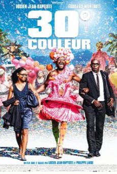 30° couleur (2012)