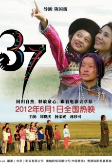 37 online streaming