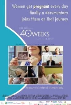 40 Weeks online free