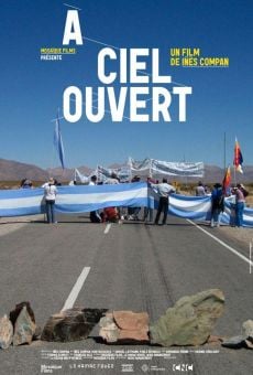 A ciel ouvert (2010)