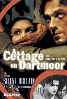 A Cottage on Dartmoor online streaming