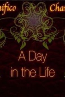 A Day in the Life of a Professional Wrestler en ligne gratuit