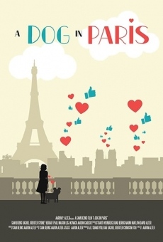 Película: A Dog in Paris