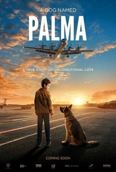 Película: A Dog Named Palma