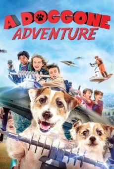 Película: Una aventura para perros