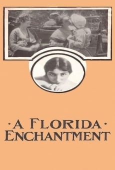Película: Un encanto de Florida