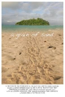 A Grain of Sand