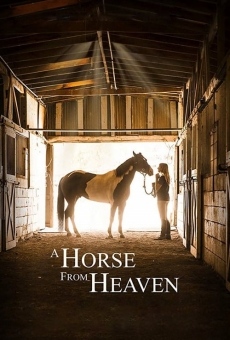 Película: A Horse from Heaven
