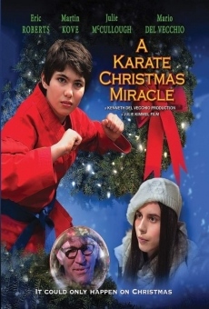 Película: Un milagro navideño de karate
