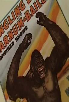 À l'ombre de King Kong (2003)