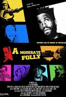 A Moderate Folly online streaming