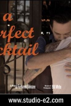 A Perfect Cocktail (2013)