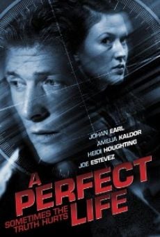 A Perfect Life online streaming