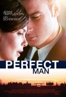 A Perfect Man online streaming