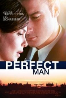 A Perfect Man en ligne gratuit