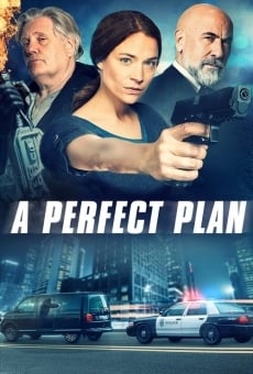 Película: Un plan perfecto