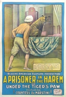 A Prisoner in the Harem online streaming