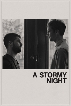 Película: A Stormy Night