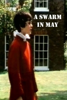 A Swarm in May online streaming