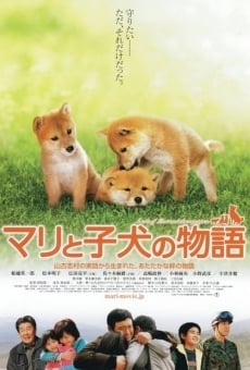 Película: A Tale of Mari and Three Puppies