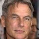 Mark Harmon