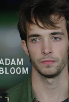 Adam Bloom (2020)