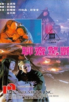 Liu jai ging yim (1991)