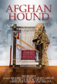 Afghan Hound gratis
