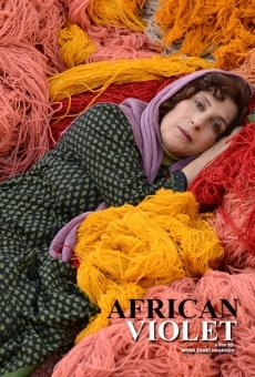 African Violet (2019)