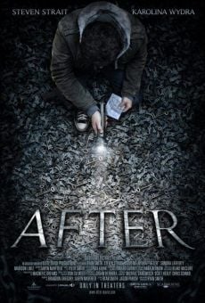 After (2012)