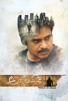 Agnathavasi - Prince in Exile online streaming