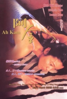 A Jin de gu shi (1996)
