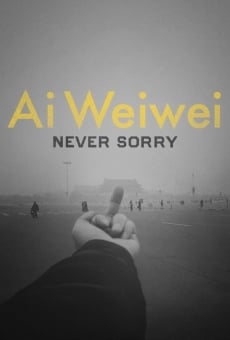 Ai Weiwei: Never Sorry on-line gratuito