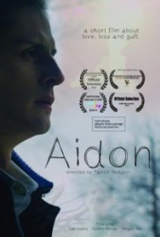 Aidon online free