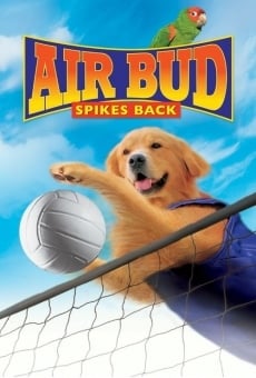 Película: Air Bud 5: Golpea de nuevo