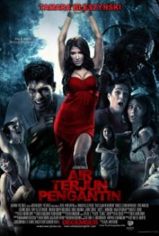 Air terjun pengantin (2009)