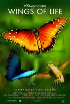 Disneynature's Wings Of Life online streaming