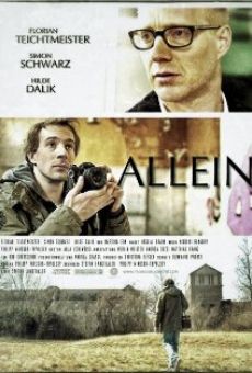 Allein (2013)