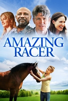 Amazing Racer (Shannon's Rainbow)