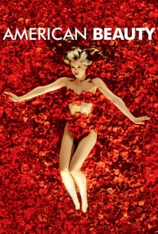 American Beauty online streaming