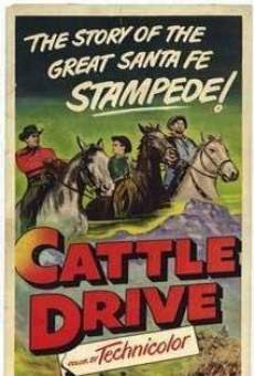 Cattle Drive (1951)