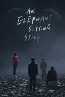 An elephant sitting still (2018)