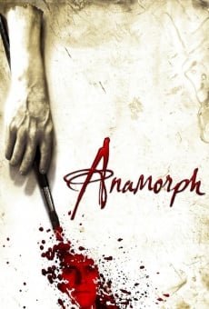 Anamorphose en ligne gratuit