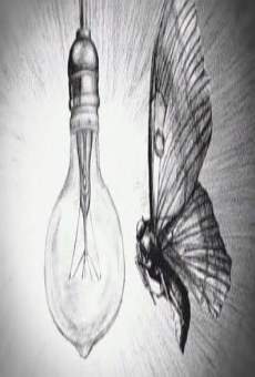 Anatomía de una mariposa (2004)