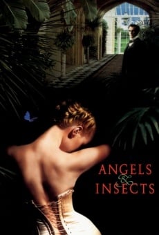 Des anges et des insectes