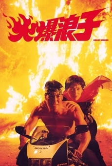 Foh bau long ji (1991)