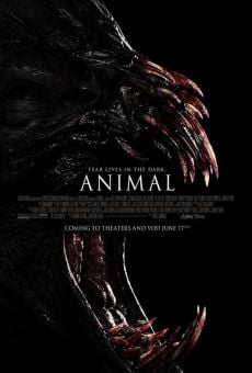 Animal - Il segreto della foresta online streaming