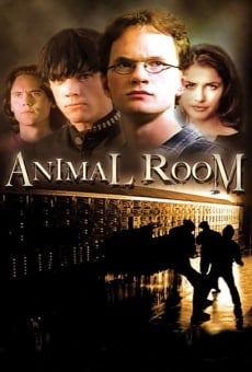Animal Room online free