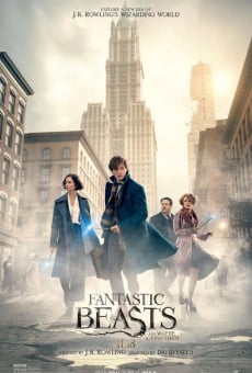 Fantastic Beasts and Where to Find Them on-line gratuito